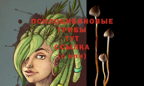 героин Заводоуковск